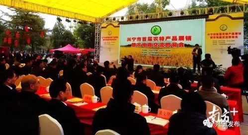 興寧首屆農(nóng)特產(chǎn)品展銷暨農(nóng)電商交流貿(mào)易會(huì)隆重開幕，文化藝術(shù)交流活動(dòng)同步啟動(dòng)